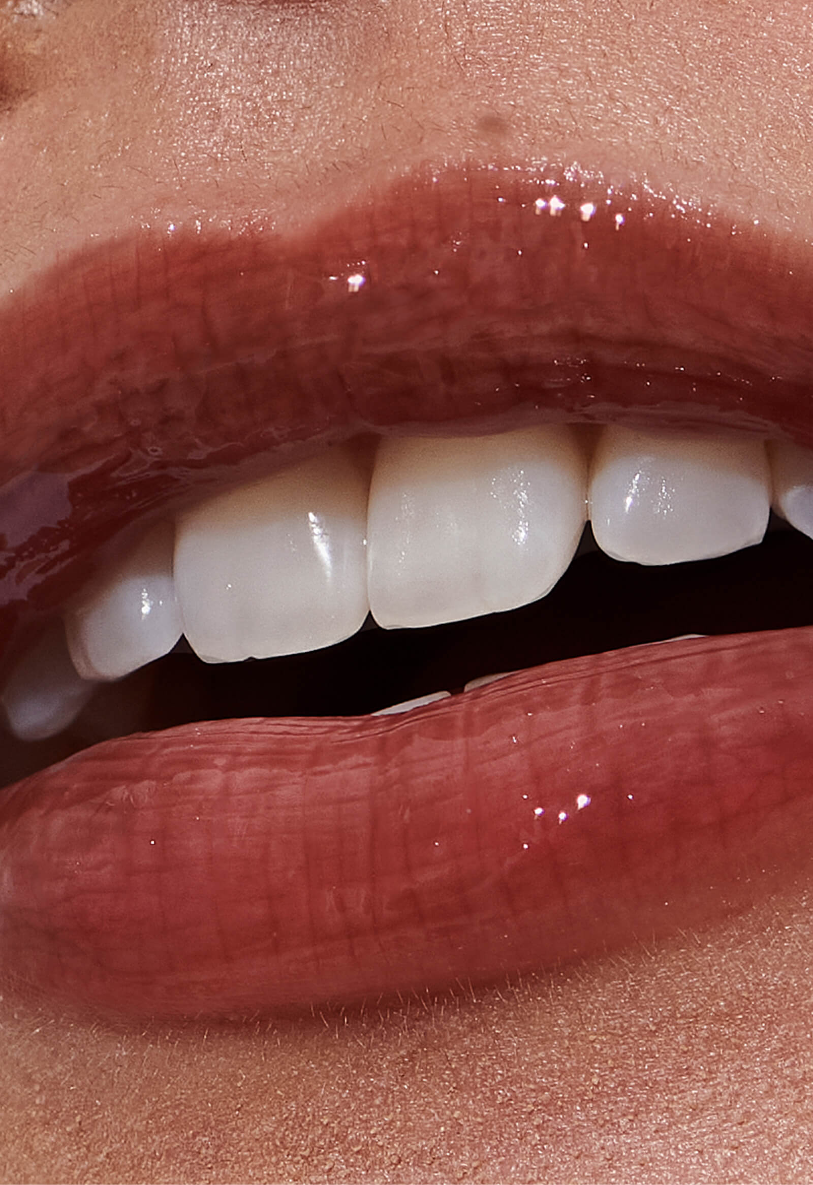 the duos toasted teddy + espresso